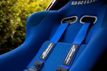 SHIRTSTUCKEDIN DRIVING FORCE FIA HARNESS